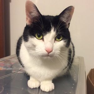 Meet your Posher, Sara